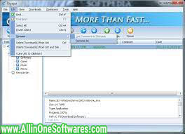 Gigaget Download Manager 1.0.0.23 Free Download