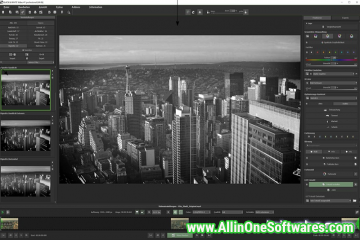 Franzis BLACK & WHITE Video #1 Professional 1.13.03822 With Patch