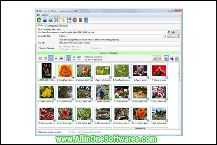 Bulk Image Downloader 6.22 PC Software whit crack