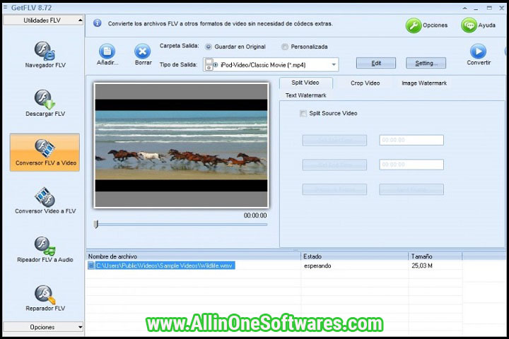 Get FLV 30.2307.13.0 PC Software With patch